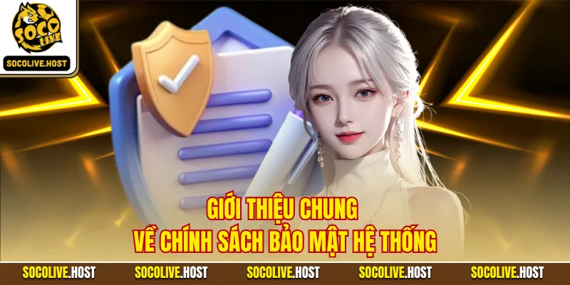 Giới thiệu chung về chính sách bảo mật hệ thống