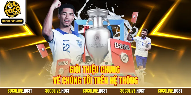 Giới thiệu chung về chúng tôi trên hệ thống