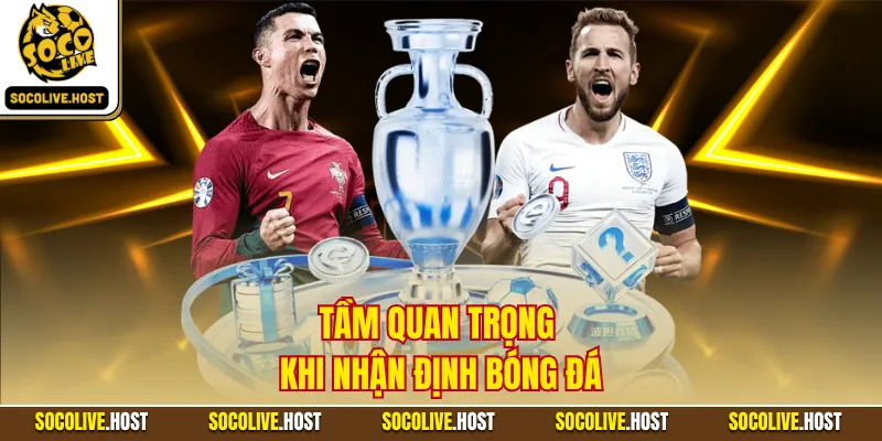 Tầm quan trọng khi nhận định bóng đá